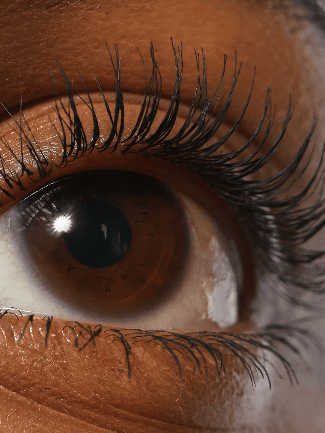Refy Lash Sculpt - Kirpik Şekillendirici - stre