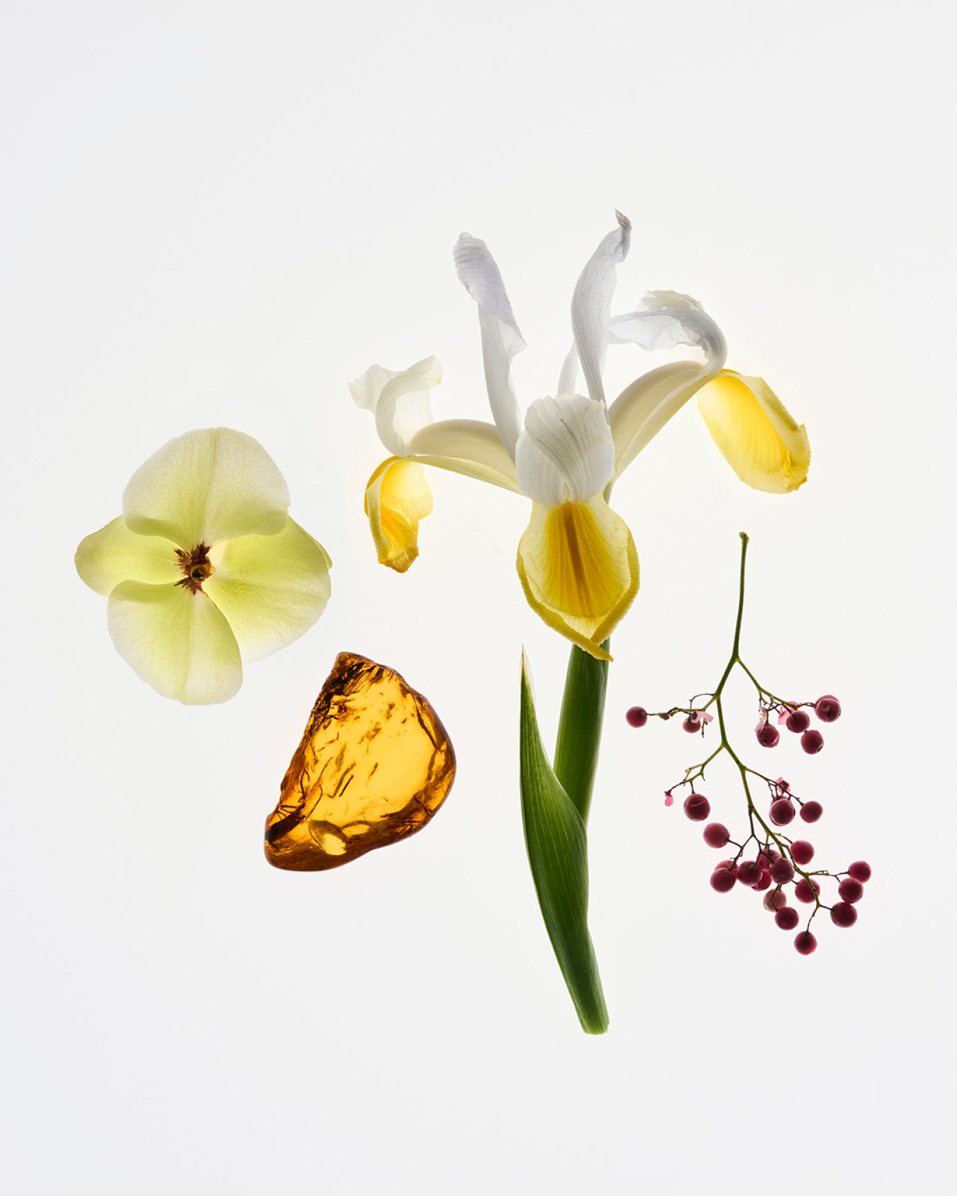 Glossier You - Parfüm - stre