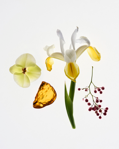 Glossier You - Parfüm - stre