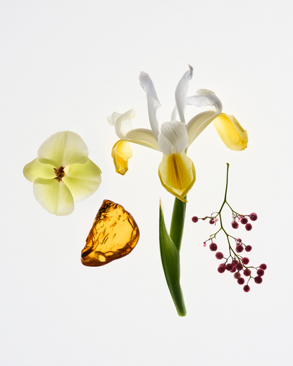 Glossier You - Parfüm - stre